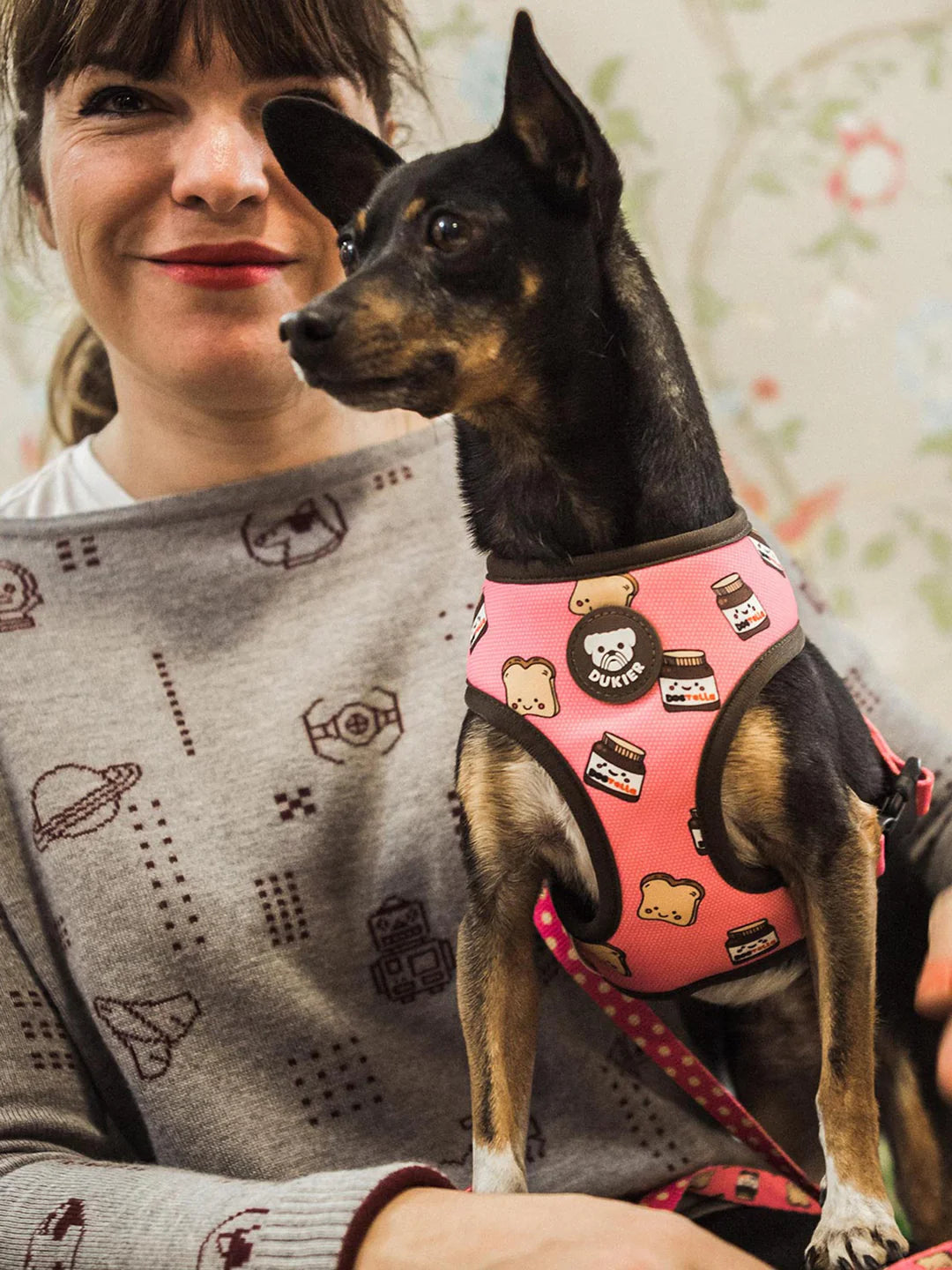 Umkehrbares Geschirr DOGTELLA
