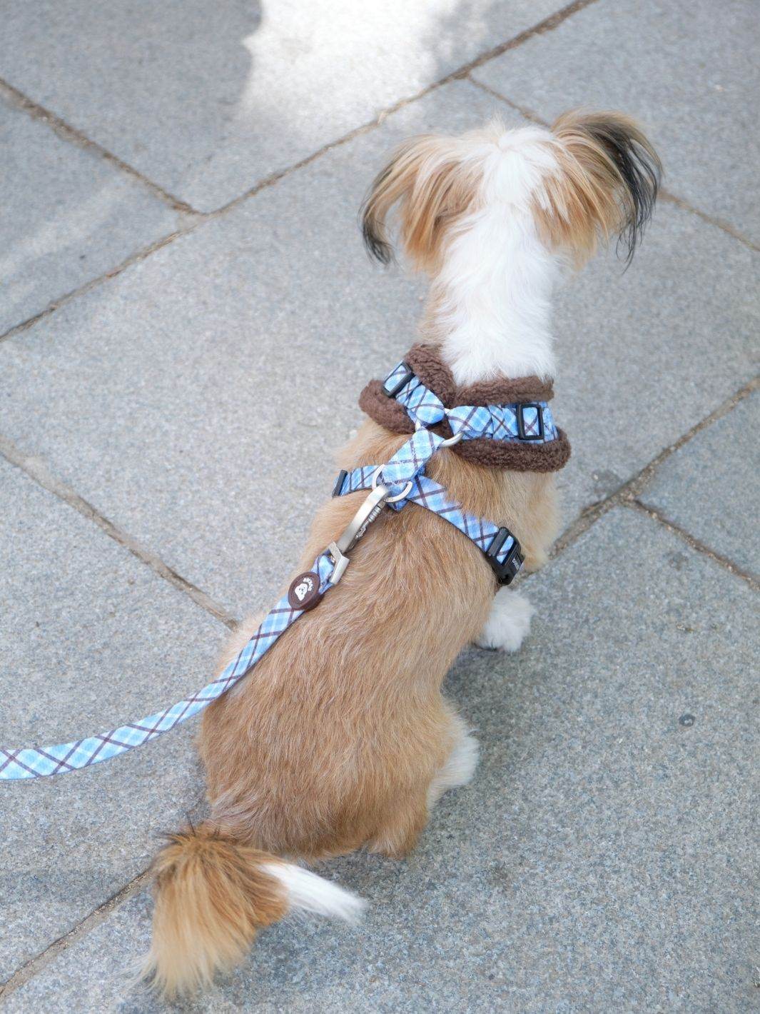 VERSTELLBARES HUNDEGESCHIRR KARIERT BLUE MOCCA