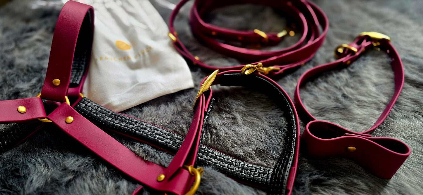 Schicki Micki Bordeaux