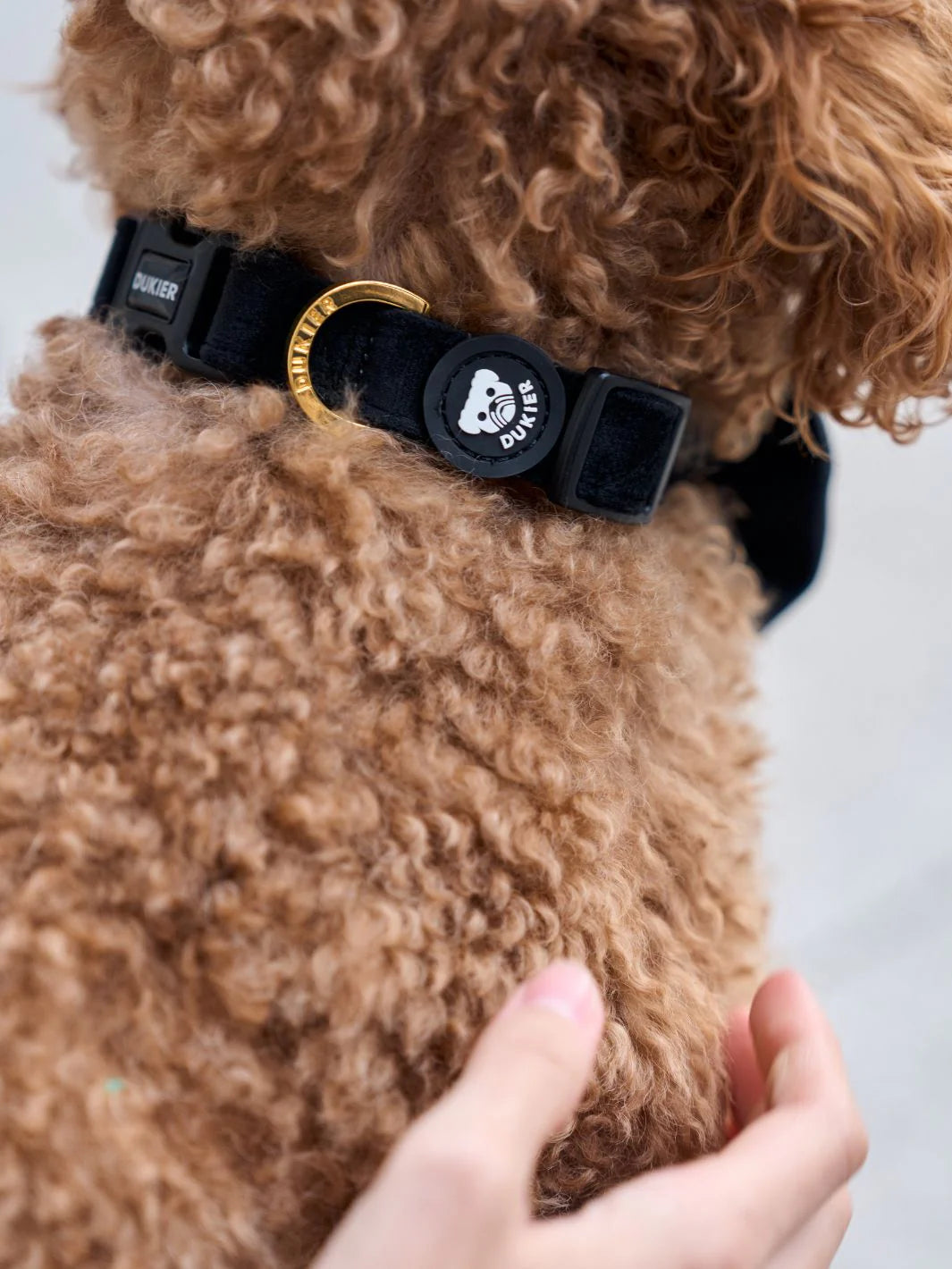 Halsband Black Velvet