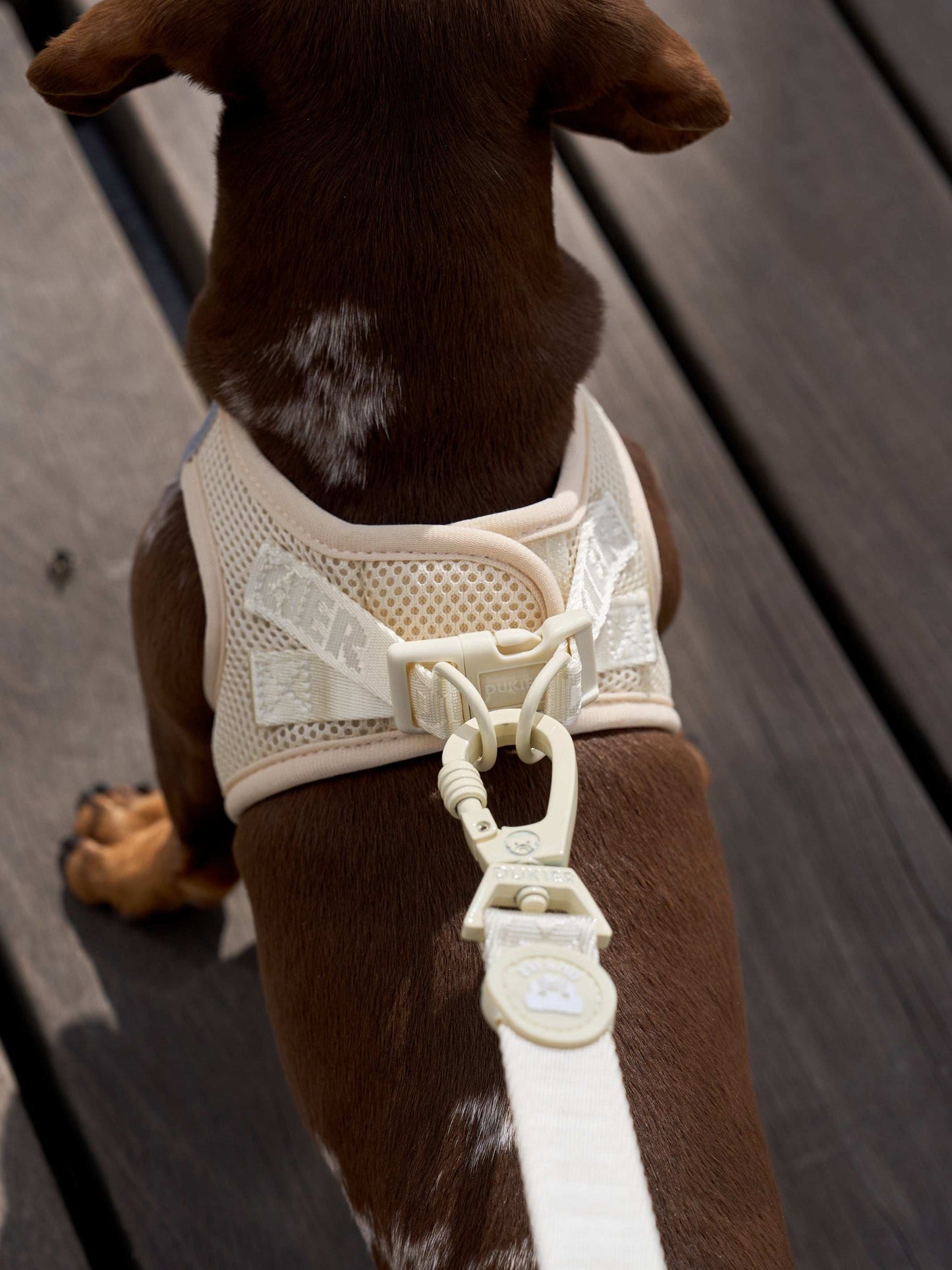 Leine Soft Beige