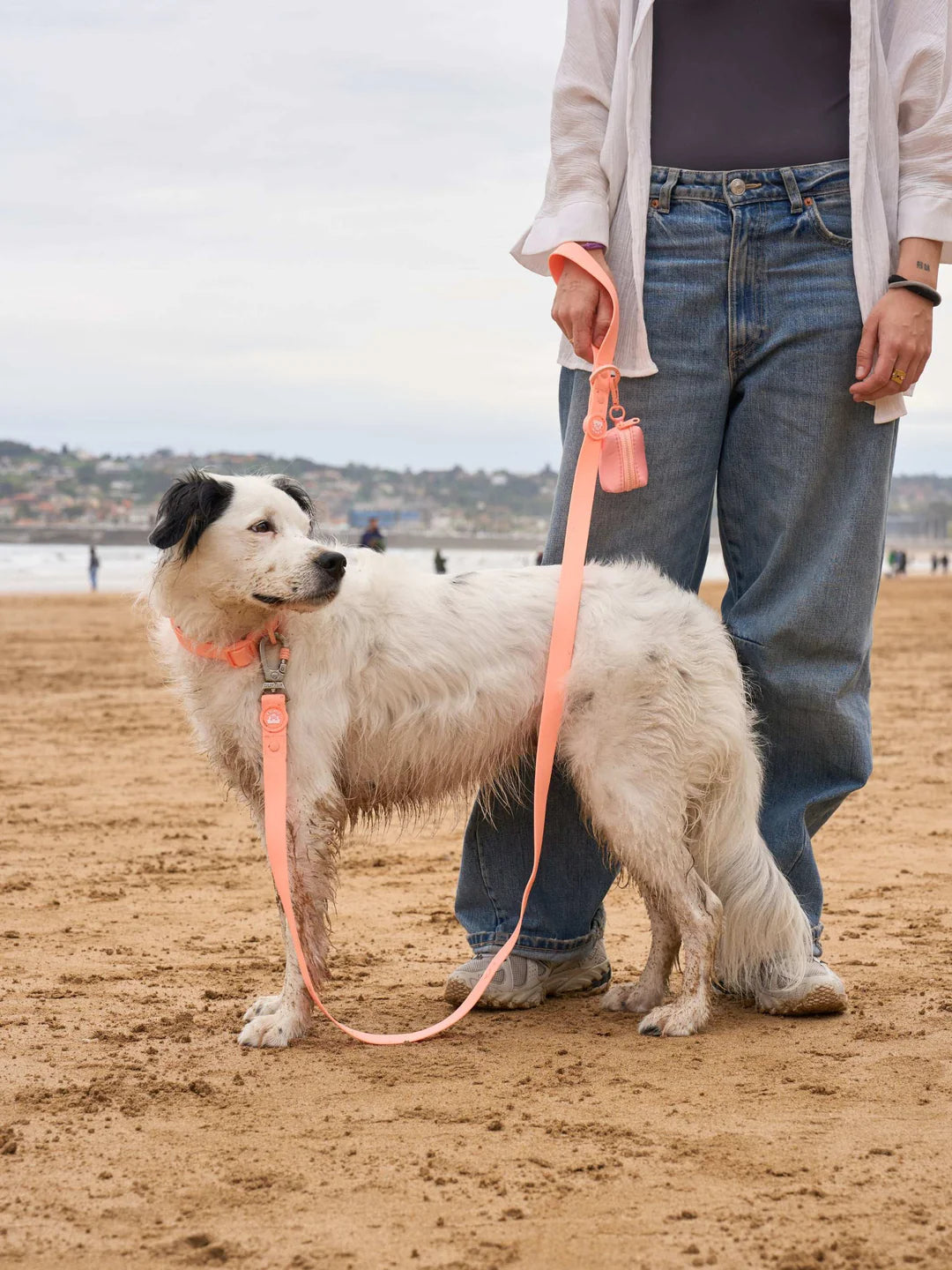 Waterproof Coral Halsband