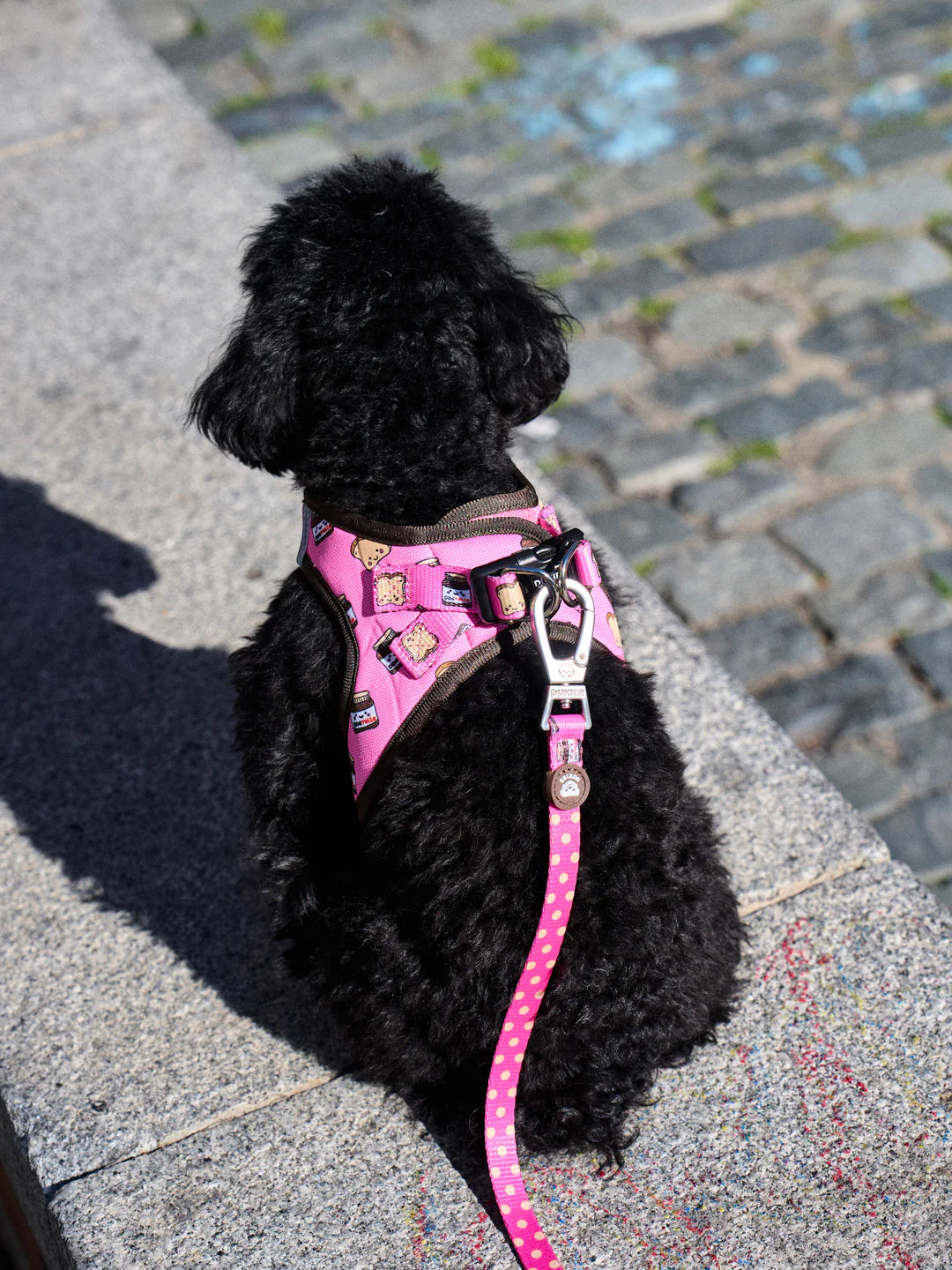 Leine DOGTELLA