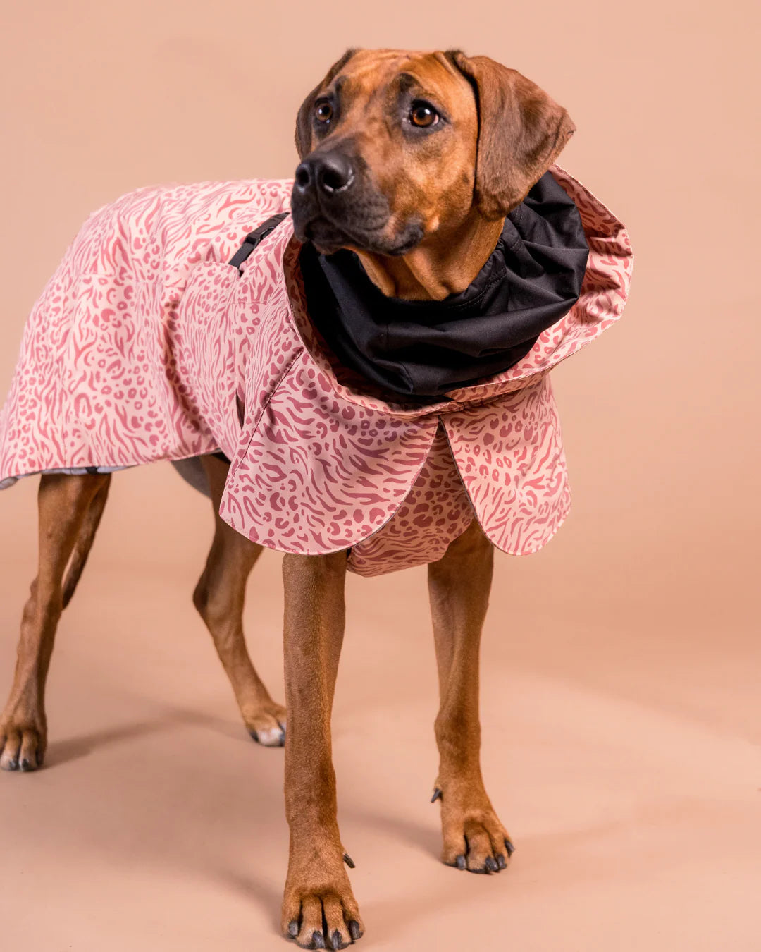 Visibility Hundewintermantel Red Mix