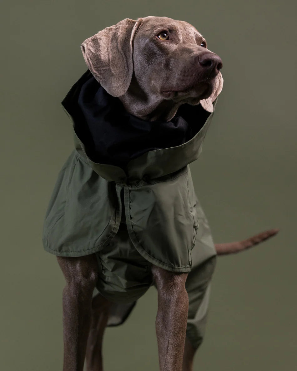 PAIKKA Reflektierender Hunderegenmantel Grün