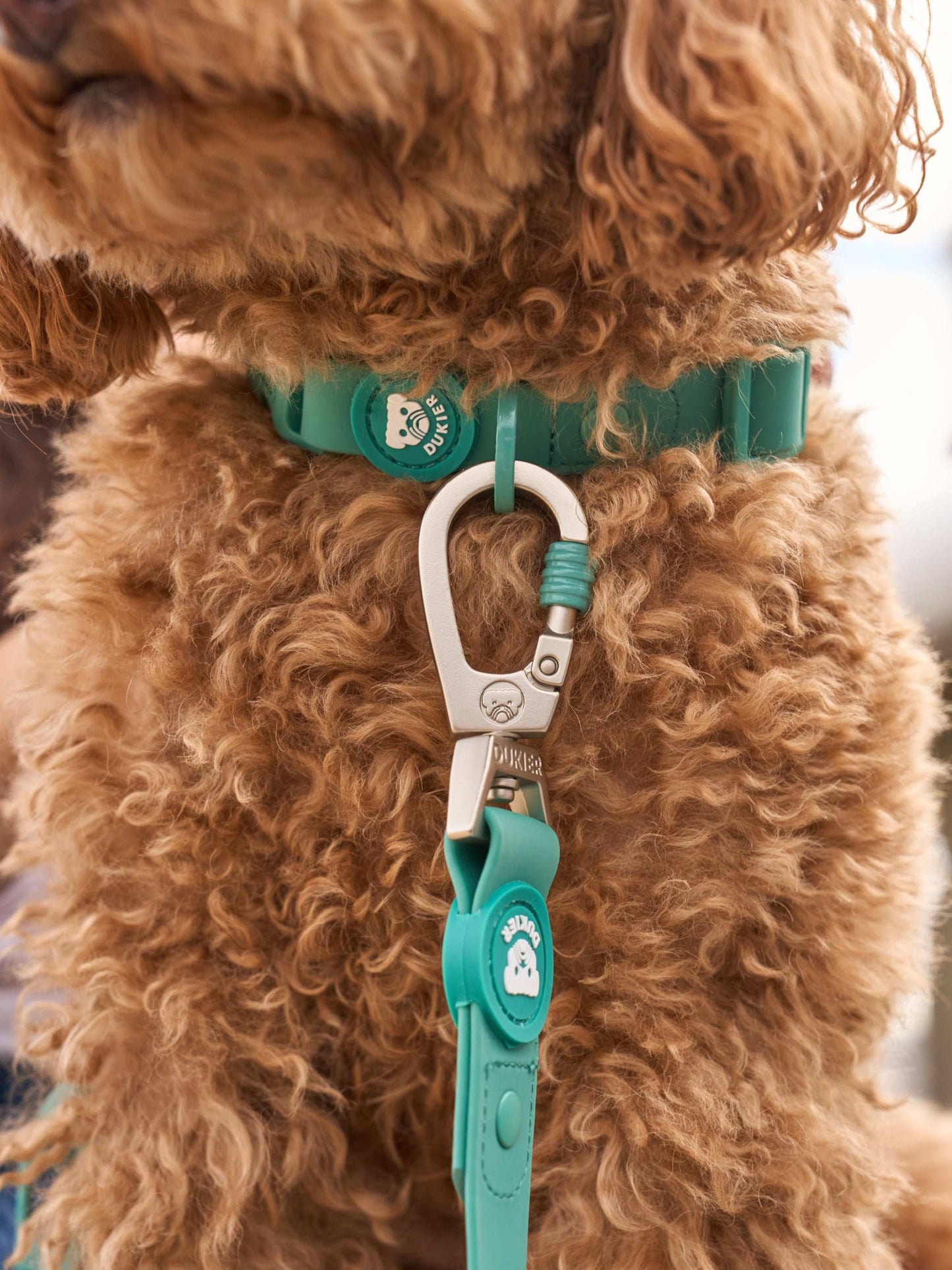 Waterproof Green Halsband