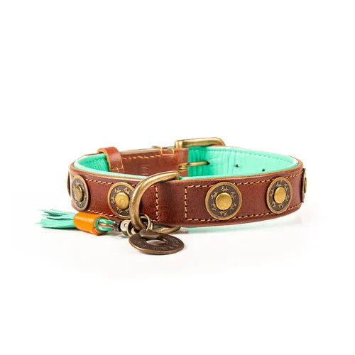 Urban Collar