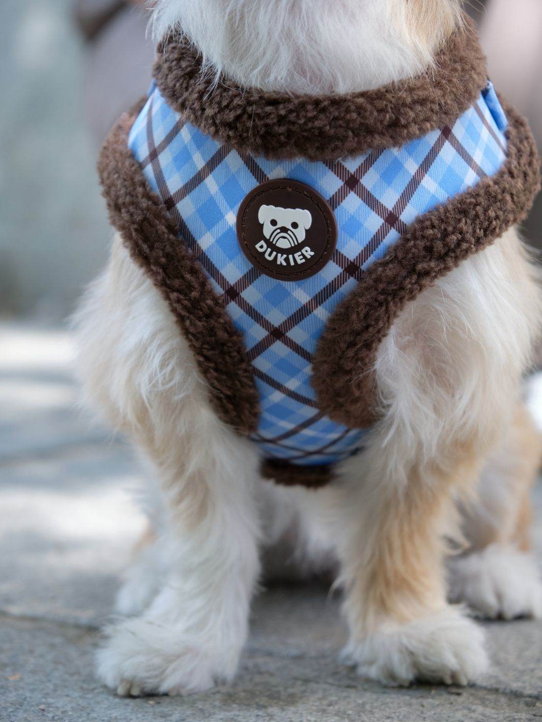 VERSTELLBARES HUNDEGESCHIRR KARIERT BLUE MOCCA