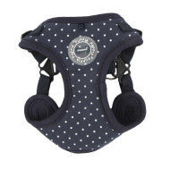 Dotty