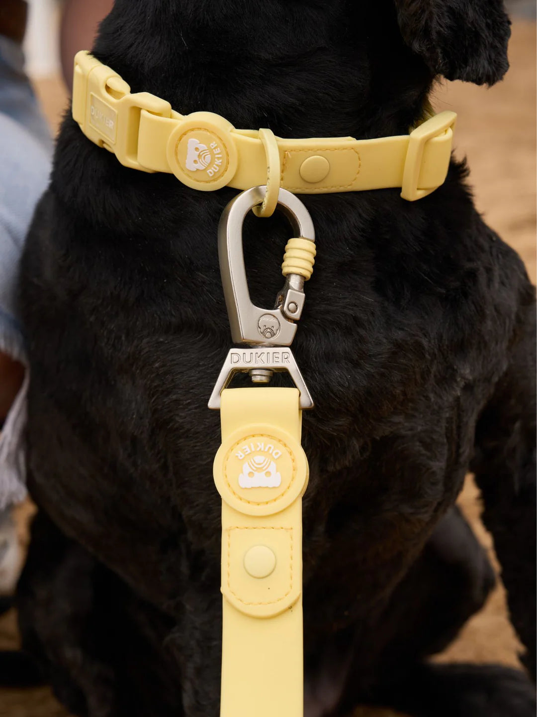 Waterproof Yellow Halsband